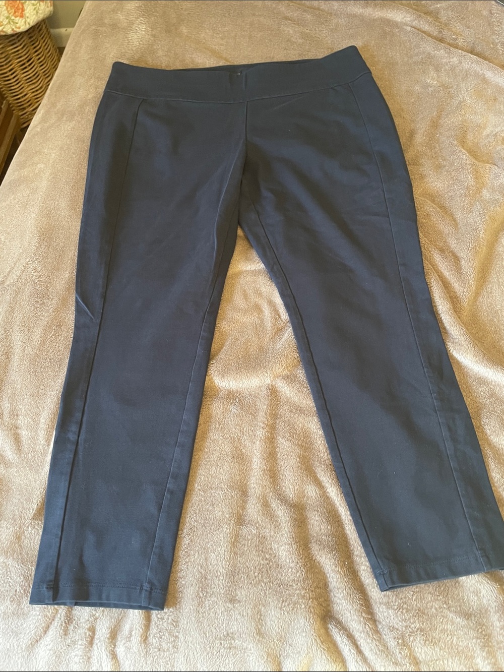 Susan Graver Weekend Navy Ponte Knit Slim Pants